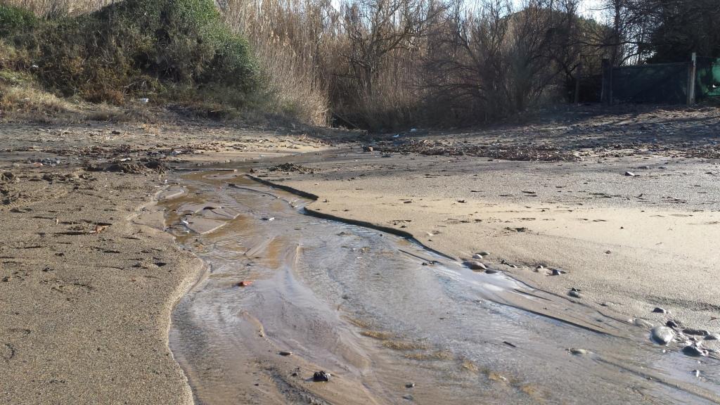 I fossi e lo stagno di Baratti (Piombino - LI)